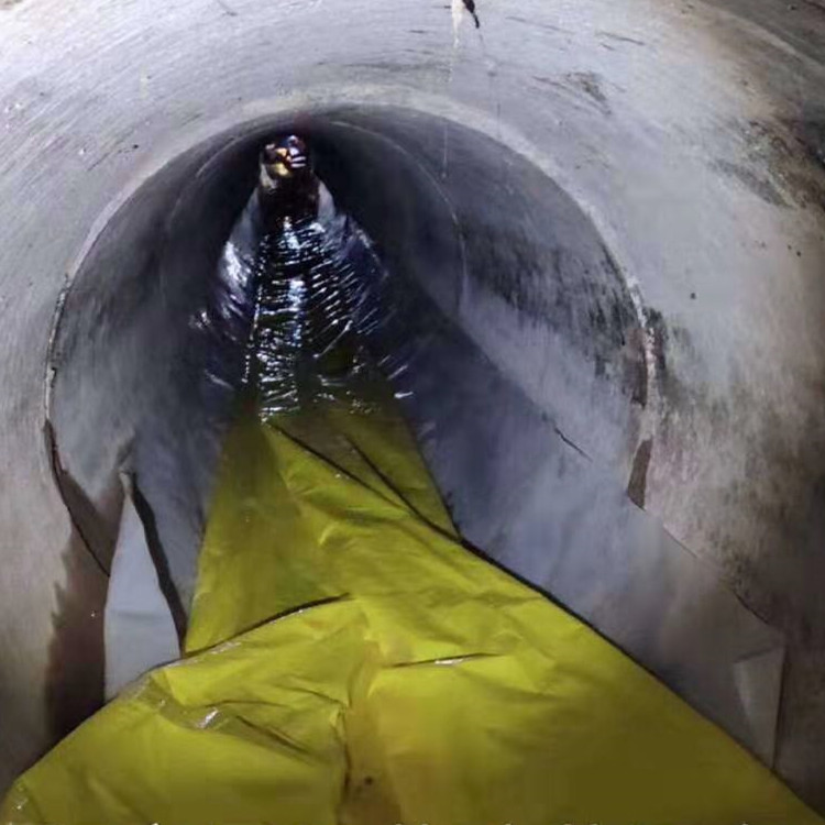 嘉陵管道光固化修复